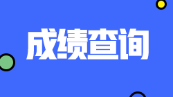 四川注會查分入口將于11月開通！