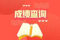 了解一下：2021年稅務(wù)師考試成績查詢網(wǎng)址