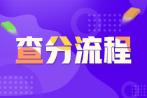 證券從業(yè)資格考試查分流程？