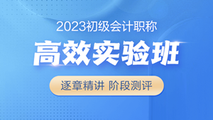 2023初級會計高效實驗班 18大配套習(xí)題 全力備考 購課即學(xué)>