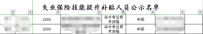 恭喜中級(jí)會(huì)計(jì)考生 拿下證書可領(lǐng)取千元補(bǔ)貼！