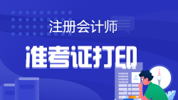 2022年什么時候打印cpa準(zhǔn)考證？