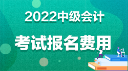 中級會計職稱報名費多少錢上海？