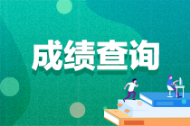 2022年中級(jí)會(huì)計(jì)考試成績(jī)什么時(shí)候可以查詢(xún)？