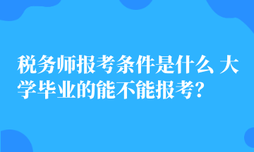 稅務(wù)師報(bào)考條件是什么 大學(xué)畢業(yè)的能不能報(bào)考？