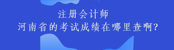 注冊會計師河南省的考試成績在哪里查啊？