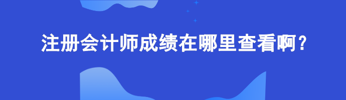 注冊會計師成績在哪里查看啊？