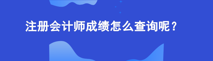 注冊會計師成績怎么查詢呢？