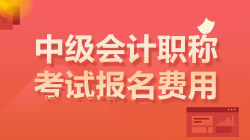 中級會計(jì)考試報名費(fèi)用