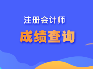 注會考試成績什么時候出？