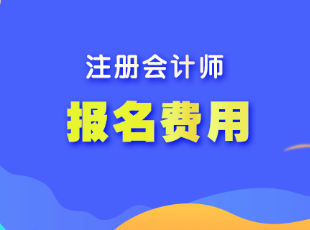 上海市2023年注會考試報名費用是多少？