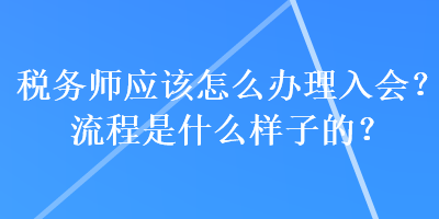 稅務(wù)師應(yīng)該怎么辦理入會？流程是什么樣子的？