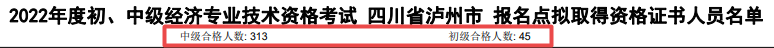 四川瀘州2022年初中級(jí)經(jīng)濟(jì)師合格人數(shù)