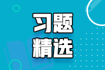 2023初級審計師《審計理論與實務》練習題精選（二十三）