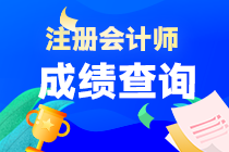 注會(huì)考試成績(jī)查詢什么時(shí)間？