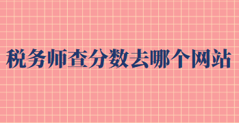 稅務(wù)師查分?jǐn)?shù)去哪個(gè)網(wǎng)站