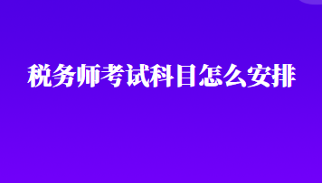 稅務(wù)師考試科目怎么安排