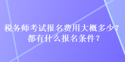 稅務(wù)師考試報名費用大概多少？都有什么報名條件？