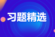 2023中級(jí)審計(jì)師《審計(jì)理論與實(shí)務(wù)》練習(xí)題精選