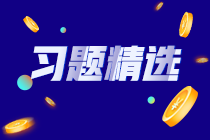 2023初級審計師《審計理論與實務(wù)》練習題精選（二十一）