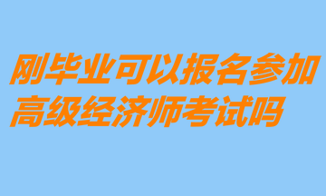 剛畢業(yè)可以報名參加高級經(jīng)濟(jì)師考試嗎？