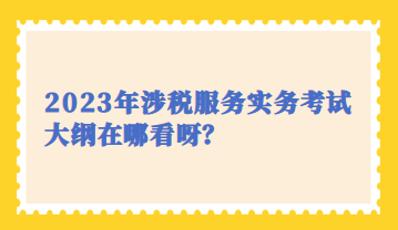 2023年涉稅服務(wù)實務(wù)考試大綱在哪看呀？