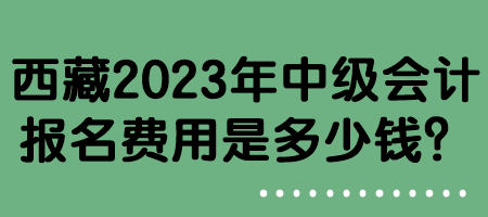 西藏2023年中級(jí)會(huì)計(jì)報(bào)名費(fèi)用是多少錢？