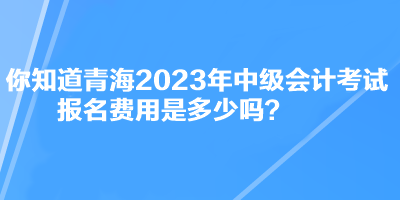 你知道青海2023年中級(jí)會(huì)計(jì)考試報(bào)名費(fèi)用是多少嗎？