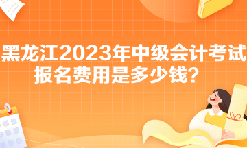 黑龍江2023年中級(jí)會(huì)計(jì)考試報(bào)名費(fèi)用是多少錢？