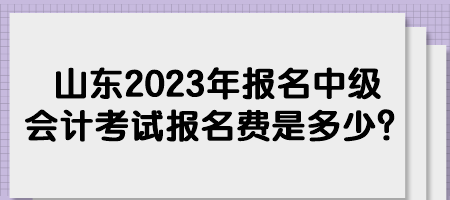 山東2023年報(bào)名中級(jí)會(huì)計(jì)考試報(bào)名費(fèi)是多少？