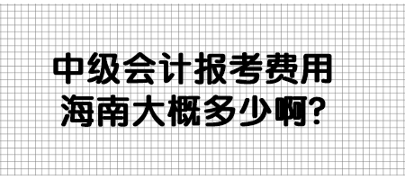 中級會(huì)計(jì)報(bào)考費(fèi)用海南大概多少啊