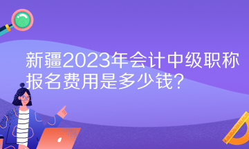 新疆2023年會(huì)計(jì)中級職稱報(bào)名費(fèi)用是多少錢？