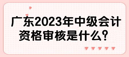 廣東2023年中級(jí)會(huì)計(jì)資格審核是什么？