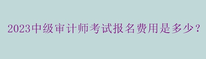 2023中級審計師考試報名費用是多少？