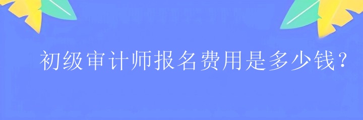 初級審計師報名費用是多少錢？