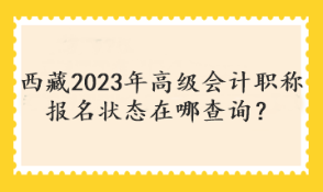 西藏2023年高級會計職稱報名狀態(tài)在哪查詢？