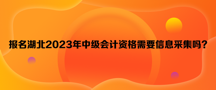 報(bào)名湖北2023年中級會計(jì)資格需要信息采集嗎？