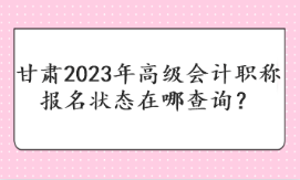 甘肅2023年高級會計(jì)職稱報(bào)名狀態(tài)在哪查詢？