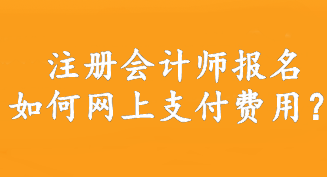 注冊(cè)會(huì)計(jì)師報(bào)名如何網(wǎng)上支付費(fèi)用？