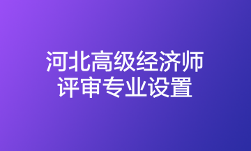 河北高級經(jīng)濟(jì)師評審專業(yè)設(shè)置