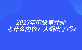 2023年中級審計師考什么內(nèi)容？大綱出了嗎？