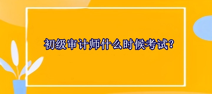 初級(jí)審計(jì)師什么時(shí)候考試？