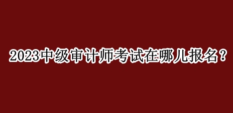 2023中級審計(jì)師考試在哪兒報(bào)名？