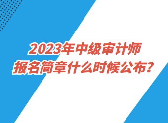 2023年中級審計(jì)師報(bào)名簡章什么時(shí)候公布？