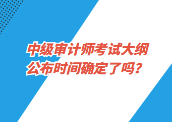 中級(jí)審計(jì)師考試大綱公布時(shí)間確定了嗎