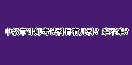 中級審計師考試科目有幾科？難不難？