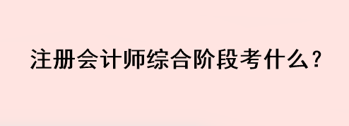 注冊會計師綜合階段考什么？