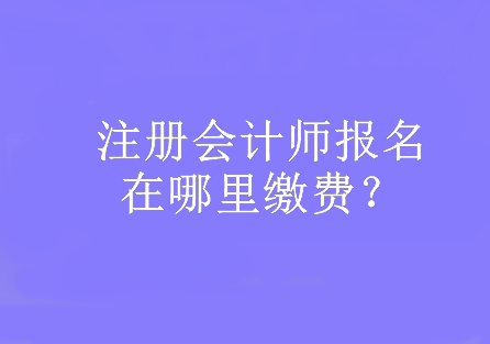 注冊(cè)會(huì)計(jì)師報(bào)名在哪里繳費(fèi)？