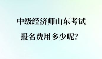 中級(jí)經(jīng)濟(jì)師山東考試報(bào)名費(fèi)用多少呢？