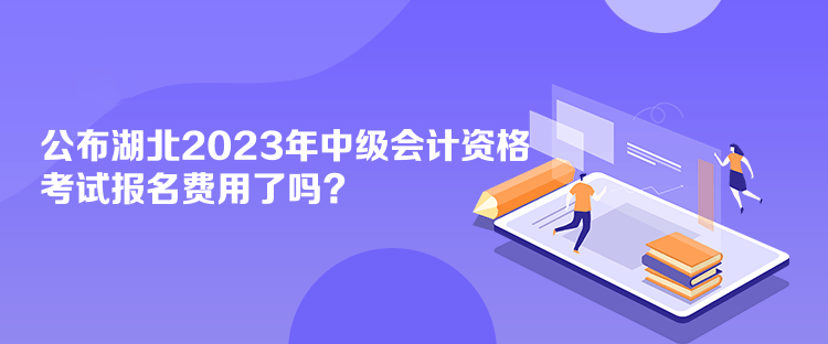 公布湖北2023年會(huì)計(jì)中級(jí)資格考試報(bào)名費(fèi)用了嗎？